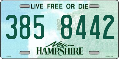 NH license plate 3858442