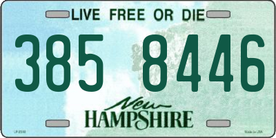 NH license plate 3858446
