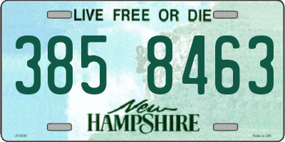 NH license plate 3858463