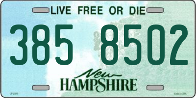 NH license plate 3858502