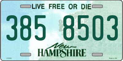 NH license plate 3858503