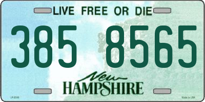 NH license plate 3858565