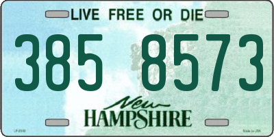 NH license plate 3858573