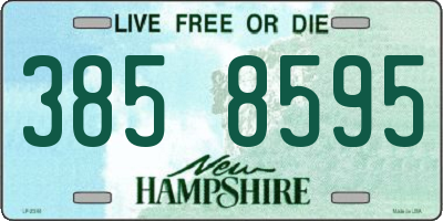 NH license plate 3858595