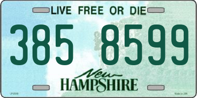 NH license plate 3858599