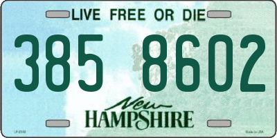 NH license plate 3858602