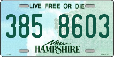 NH license plate 3858603
