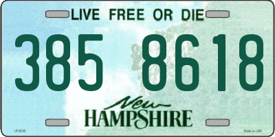 NH license plate 3858618