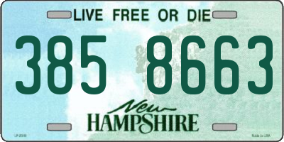 NH license plate 3858663
