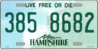 NH license plate 3858682