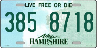 NH license plate 3858718