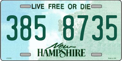 NH license plate 3858735