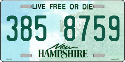 NH license plate 3858759