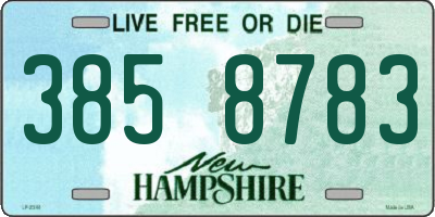 NH license plate 3858783