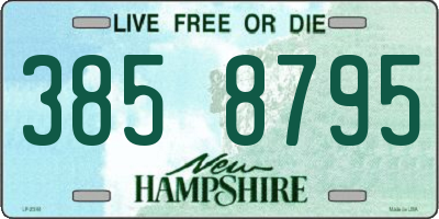NH license plate 3858795