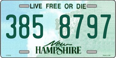 NH license plate 3858797