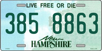 NH license plate 3858863
