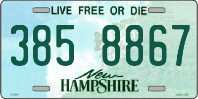 NH license plate 3858867