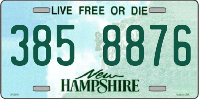 NH license plate 3858876