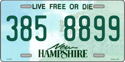 NH license plate 3858899