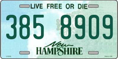 NH license plate 3858909