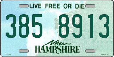NH license plate 3858913