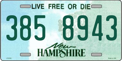 NH license plate 3858943
