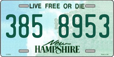 NH license plate 3858953