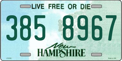 NH license plate 3858967