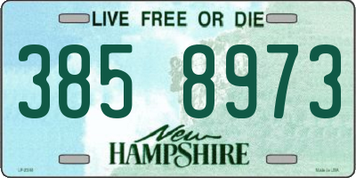 NH license plate 3858973