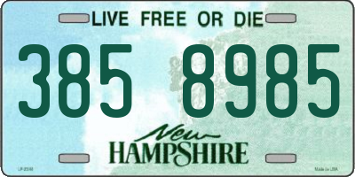 NH license plate 3858985