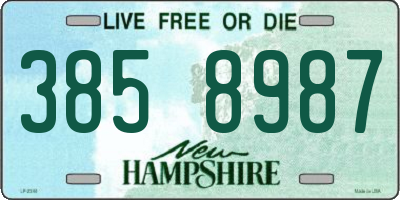 NH license plate 3858987