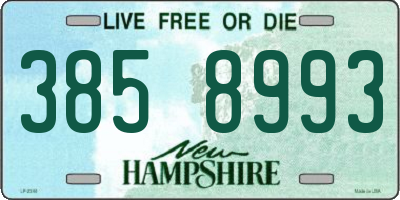 NH license plate 3858993