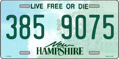 NH license plate 3859075