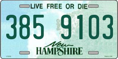 NH license plate 3859103
