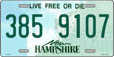 NH license plate 3859107