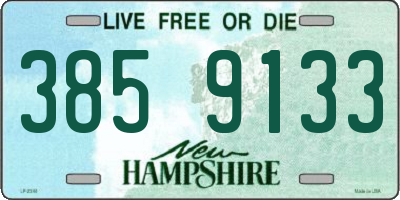 NH license plate 3859133