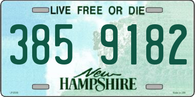 NH license plate 3859182