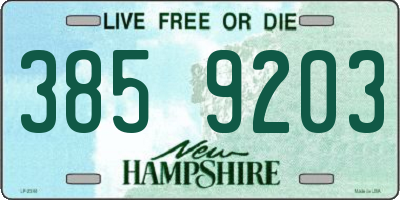 NH license plate 3859203