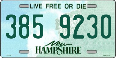 NH license plate 3859230