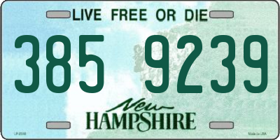 NH license plate 3859239