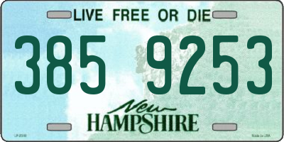 NH license plate 3859253