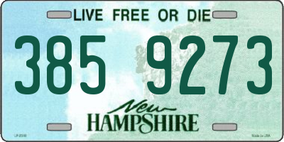 NH license plate 3859273