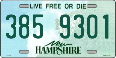 NH license plate 3859301