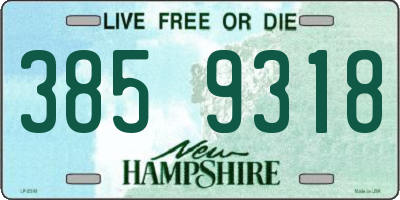 NH license plate 3859318