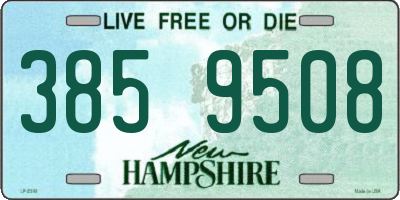 NH license plate 3859508