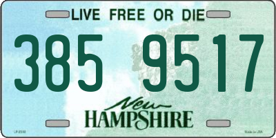 NH license plate 3859517