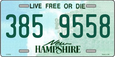 NH license plate 3859558