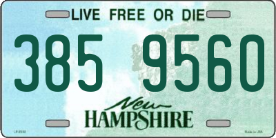 NH license plate 3859560