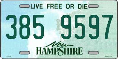 NH license plate 3859597